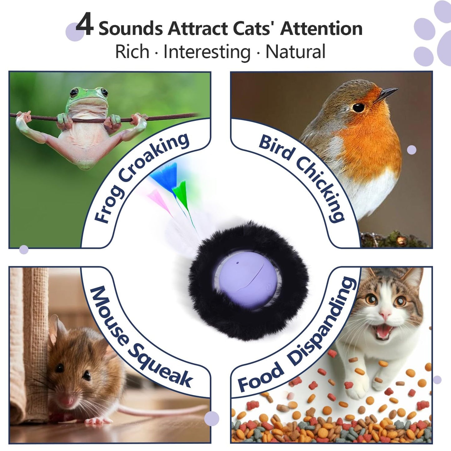ORSDA Cat Toys Ball, Automatic Fast Rolling Ball in Pouch, Hide and Seek Cat Toy for Indoor Cats, Motion Chirping Activated Moving Ball, 7 Holes Mat Mouse Catching Game