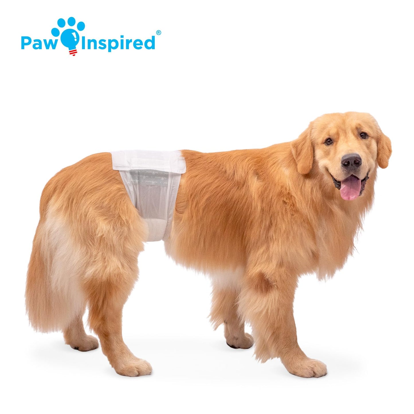 Paw Inspired Disposable Male Dog Diapers, Ultra Absorbent Male Wraps Belly Bands for Dogs, Leakproof Protection for Excitable Urination Incontinence or Marking (32 Count, Large)