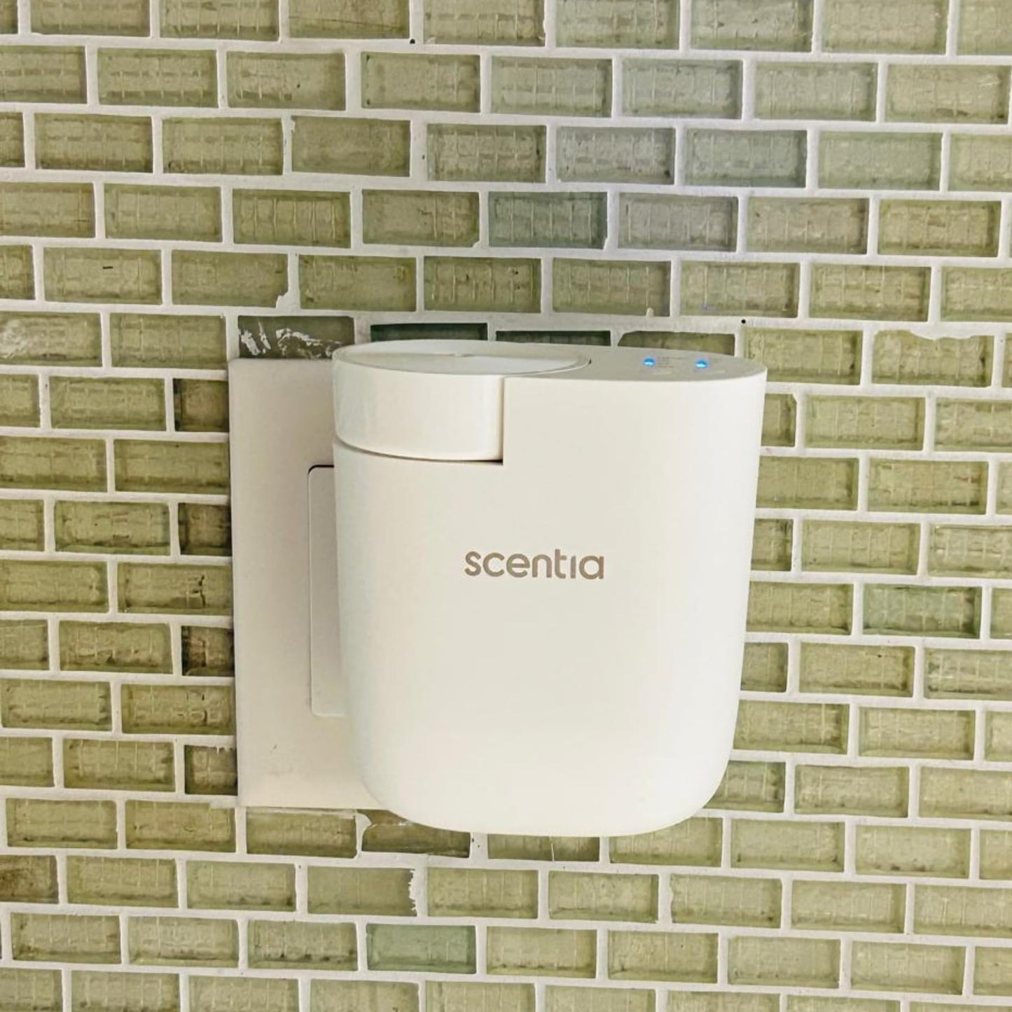 AromaPod Plug-in Waterless Diffuser | Cold-Air Stylish Design for Home, Office, Yoga Room | Nanotechnology 500 Sq.ft Coverage | White | 20ml Oil Included