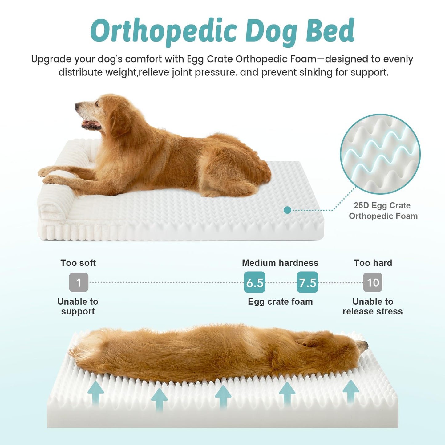 COZY KISS Cute Dog Bed for Extra Large Dogs, Faux Fur Orthopedic Foam Dog Bed with Sides, Removable Washable Cover & Waterproof Lining, Comfortable Pet Couch, Cream (48" L x 35" W x 7.5" Th)