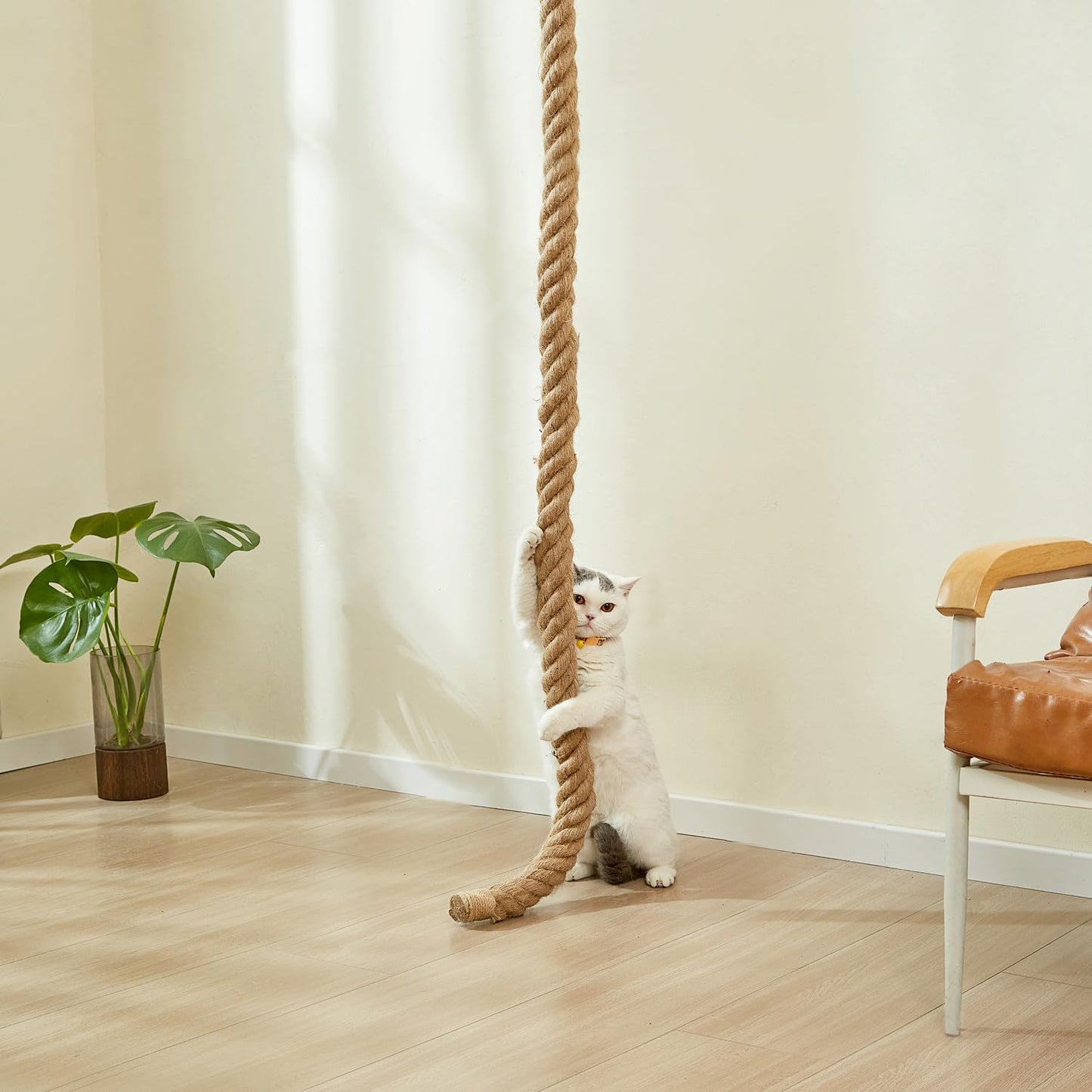 SHENGOCASE Cat Climbing Jute Rope with Hook, Wall Mounted Furniture Pole Scratching Post for Indoor and Outdoor Cat