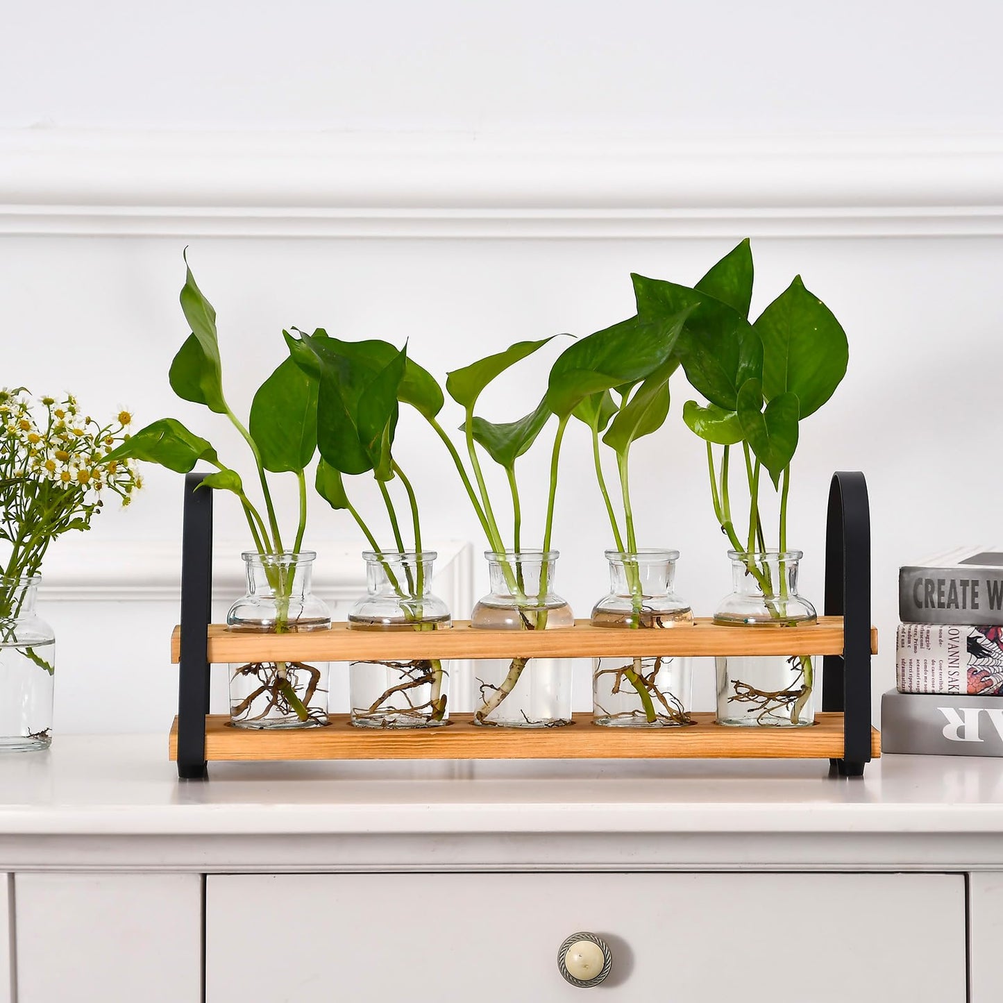 VIKEYHOME Plant Propagation Station with Wood Stand, Desktop Terrarium for Hydroponic, Flower Vase for Home, Kitchen, Office Decor, Plant Lover Gifts