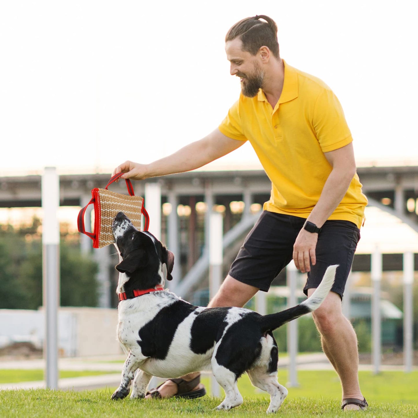 Libima 2 Pcs Dog Pillow Tug Toy Dog Pillow with Strong Handles Tug of War Training Tools Toy Linen Pad for Puppy Young Small Medium Pets Interactive Play Training