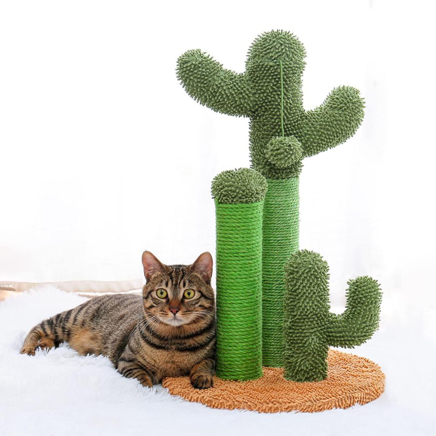 6 mm x 50 m (1/4 in * 164 ft) Sisal Rope for Cat Cactus Scratching Post, Cat Rope for DIY Cactus Cat Tree & Repair Cat Scratcher, Green