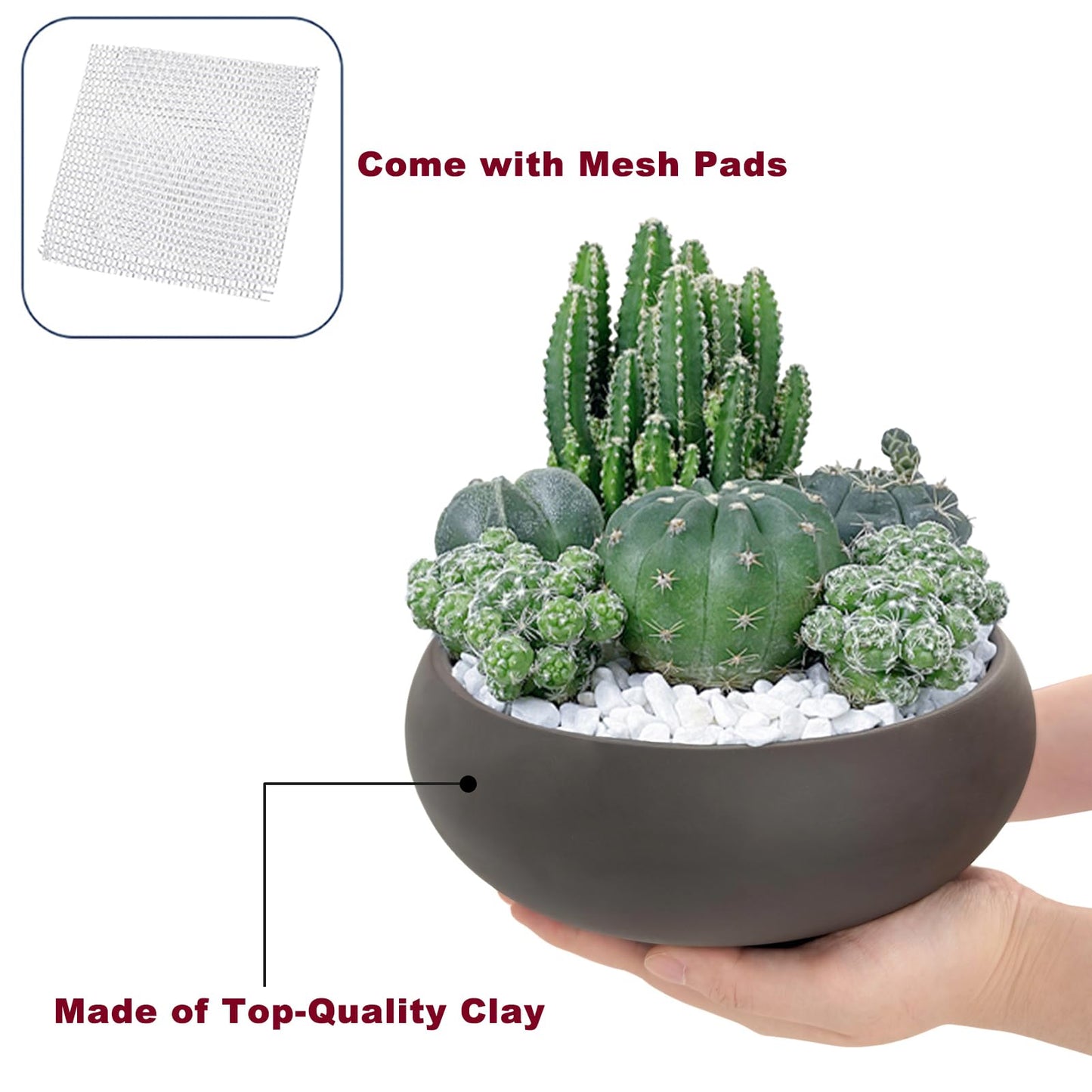 Happy Bonsai Pot 8" (20.5cm) Unglazed Round Ceramic Succulent Planter + Drainage Screen