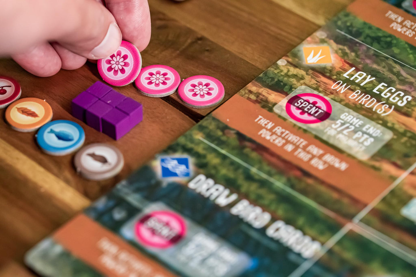 Board Game Wingspan: Oceania Expansion