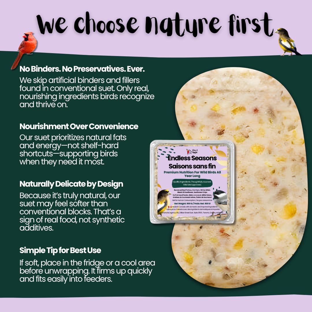 Chirp & Maple, Endless Seasons, Suet for Wild Birds, Wild Bird Food (18-Pack) 5.4KG