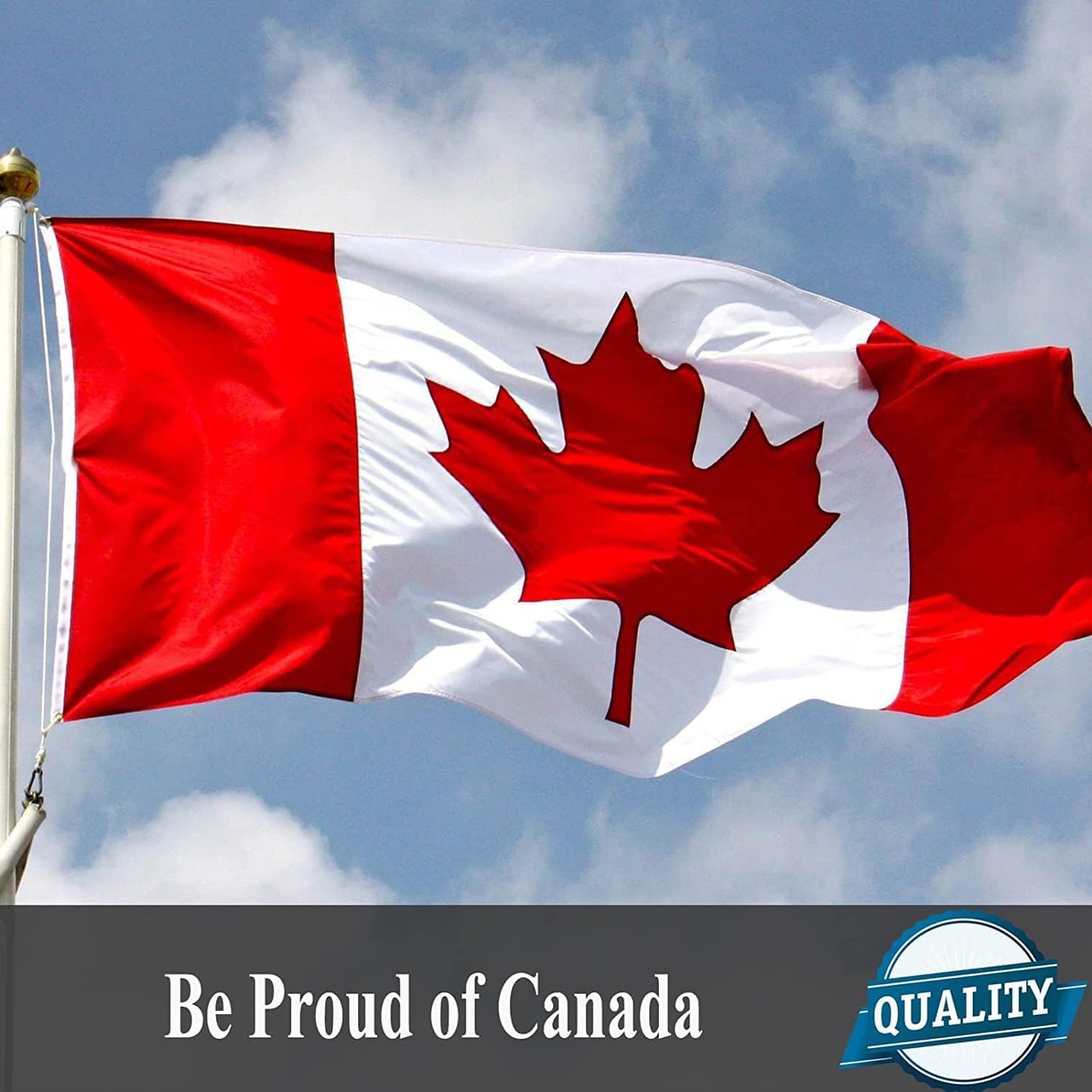 Canadian Flag 3x6Ft Outdoor Indoor, 250D Durable Nylon Heavy Duty, Embroidered Maple Leaf and Brass Grommets, Official Proportion 36X72 inch Canada National Flag for Parade Home Garden Office Decor