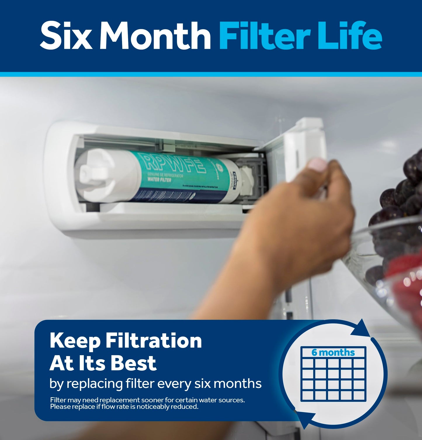 GE RPWFE Refrigerator Water Filter - WG03F04947
