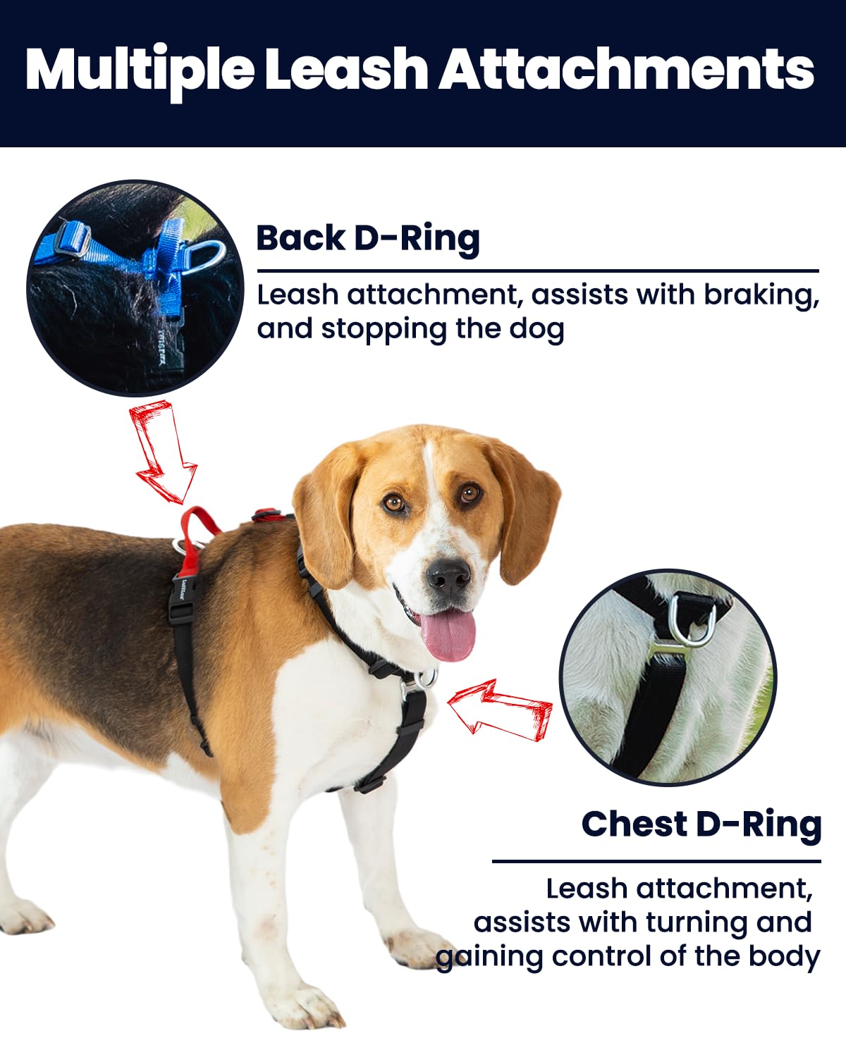 LufeLux Non-Restrictive Dog Harness, Easy Walk Freedom No Pull Harness, Keep Balance, Neck-Buckle, Six Points Adjustment, 2 Leash Clips for Back and Front Clip (Black/Grey, X-Large)