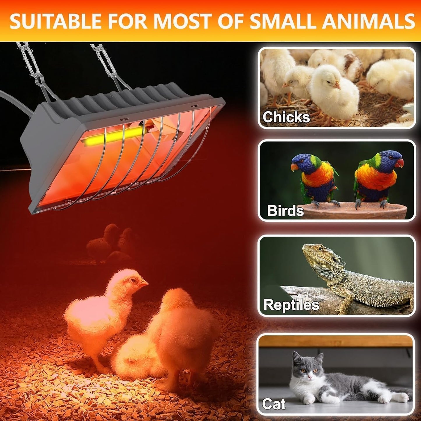 Chicken Coop Heater, 250W Brooder Heater Lamp for Chicks Ducks Reptiles (1 Pack)