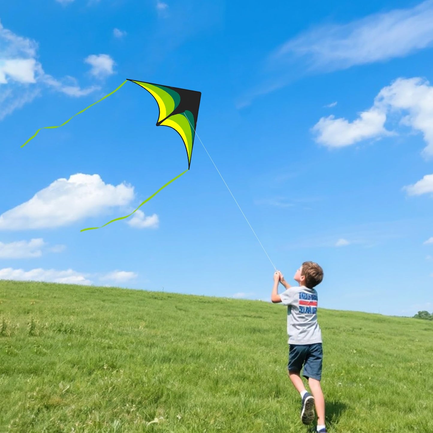 Kaiciuss Kites for Kids & Adults, Kites Set for Beginners and Teens, Easy to Fly for Beach, Perfect for Outdoor Activities (3 Pack-Rainbow Butterfly, Green Delta, and Blue Octopus)