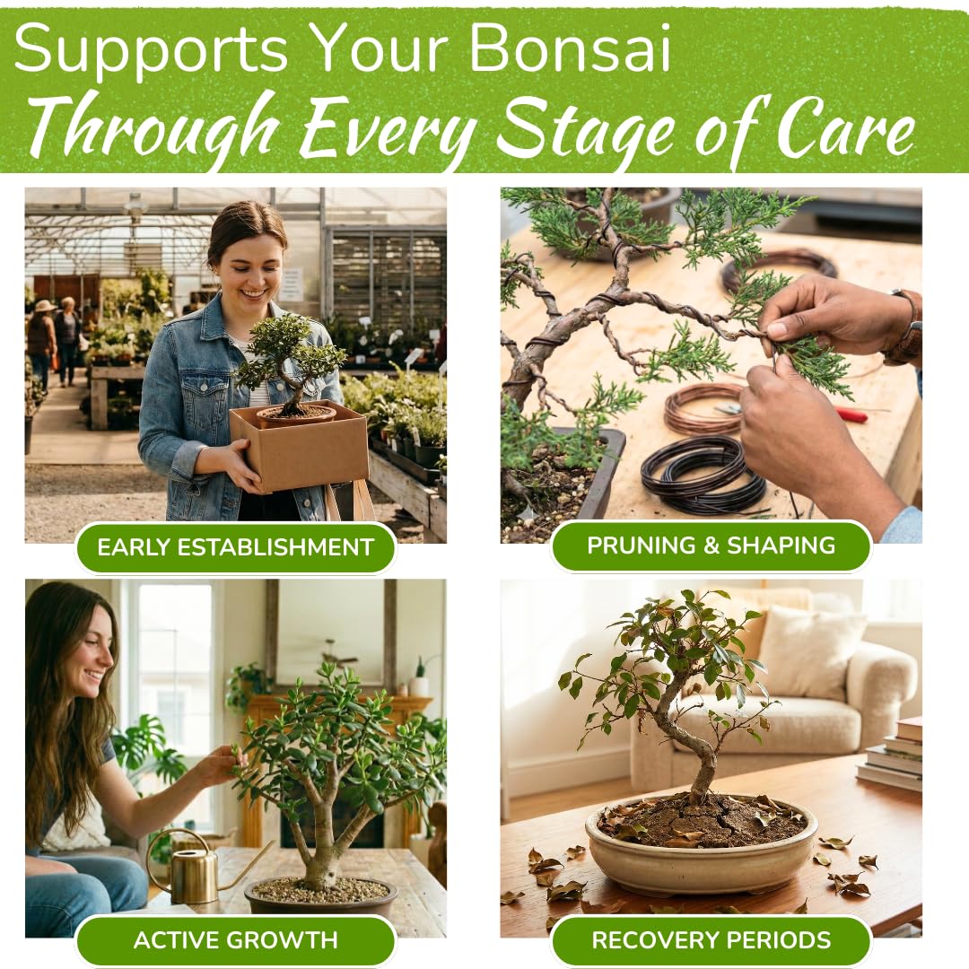 Bonsai Tree Food | Premium, Gentle Liquid Fertilizer for Healthy Growth, Strong Stems and Beautiful Blooms | 3-3-3 Balanced NPK Concentrate | 8 oz (240 ml)