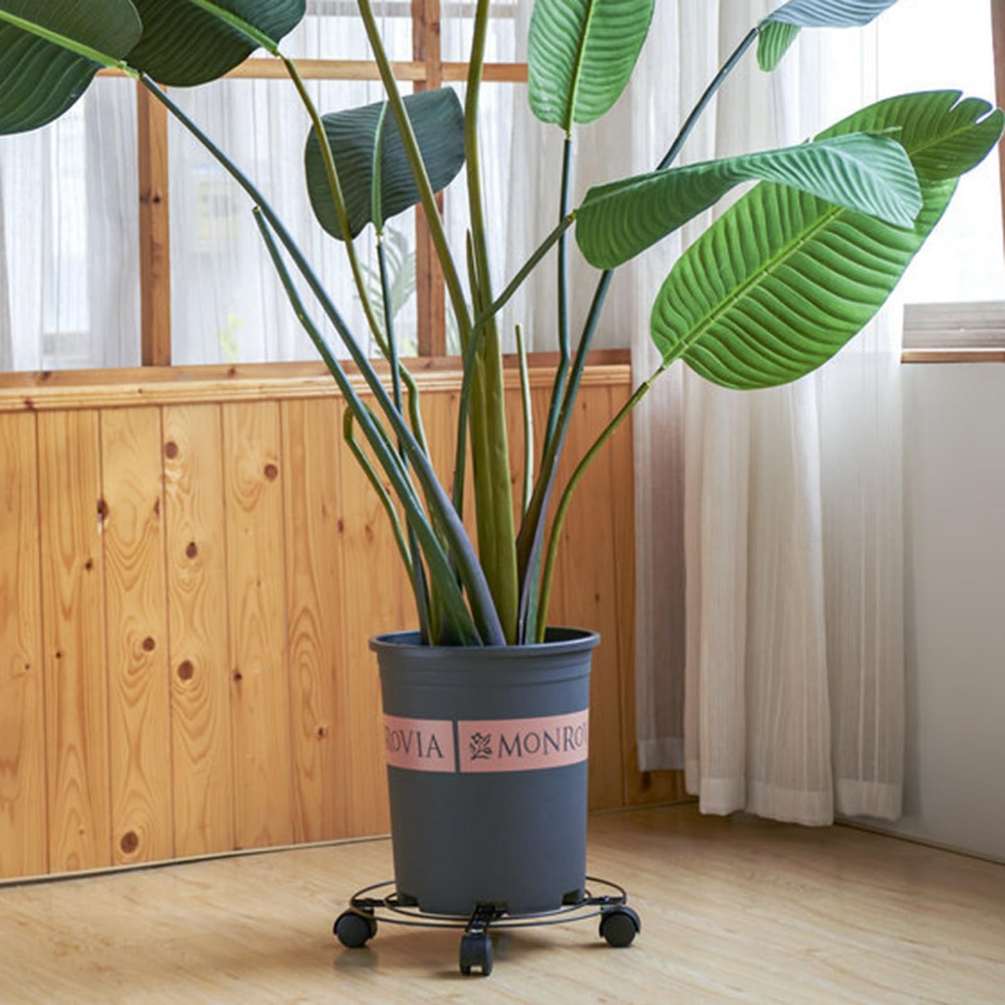 FUNSUEI Plant Stand with Wheels, 4 Pack 12 Inch Heavy Duty Iron Plant Caddy with 360°Swivel Wheels, Max Load 110 lbs for Flower Pot Outdoor Indoor, Black