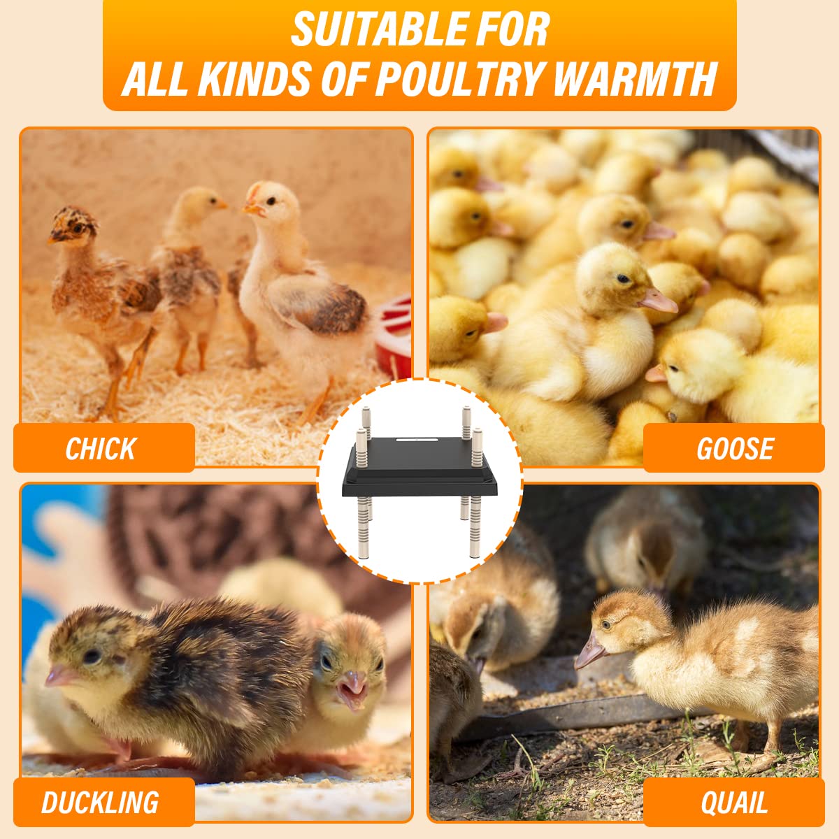 Brooder Heater for Chicks, 10”x10”Chicken Breeding Heating Plate Brooder Heating Heater Adjustable Height Chicken Incubator Heating Lamp Rutin Chicken Brooder Suitable for 15 Chicks (Dark)