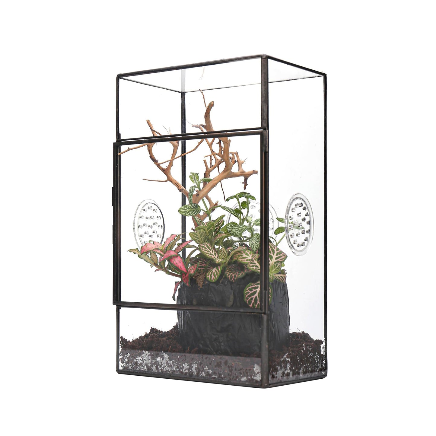 NCYP Glass Enclosure with Door and Vent Holes for Large Jumping Spider - 13 x 10 x 23 cm Front Opening Rectangle Black Terrarium - Holes Diameter 0.3cm (Terrarium Only)