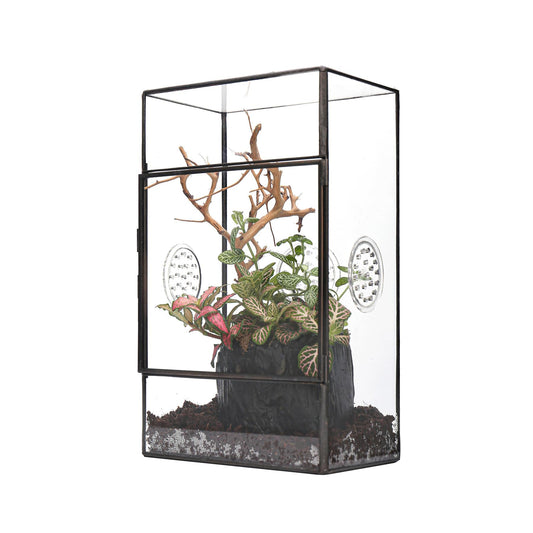 NCYP Glass Enclosure with Door and Vent Holes for Large Jumping Spider - 13 x 10 x 23 cm Front Opening Rectangle Black Terrarium - Holes Diameter 0.3cm (Terrarium Only)