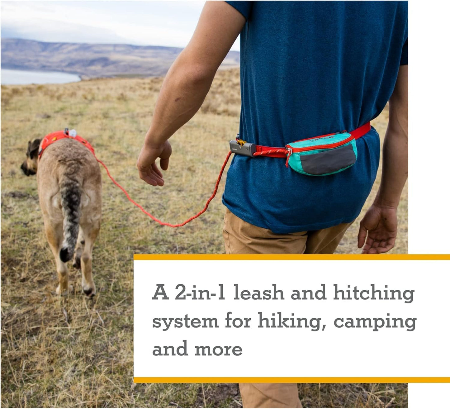 Ruffwear, Hitch Hiker Dog Leash, Adjustable Leash & Hitching System for Camping & Hiking, Aurora Teal