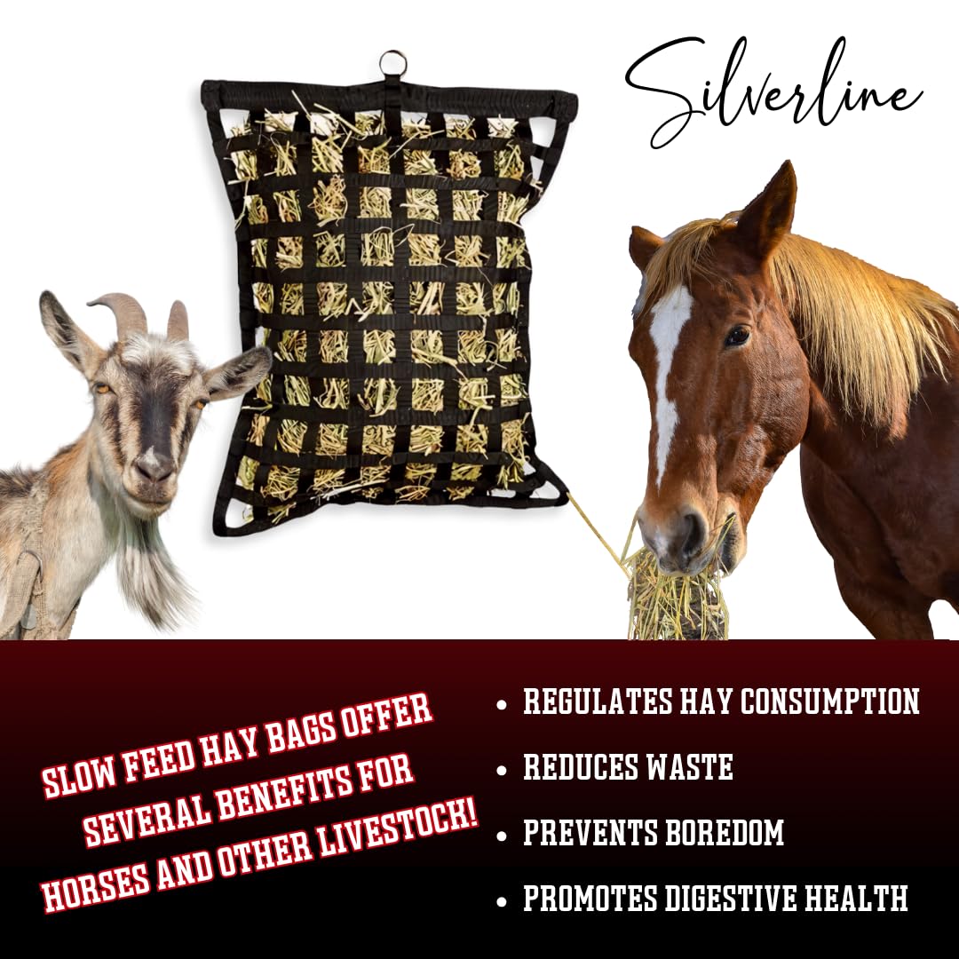 Silverline Deluxe Slow Feed Hay Bag - Durable Nylon Webbing with Heavy Duty O-Rings | Ideal for Horses, Goats, Livestock. Facilitates Natural Grazing and Promotes Healthy Digestion! (Large)