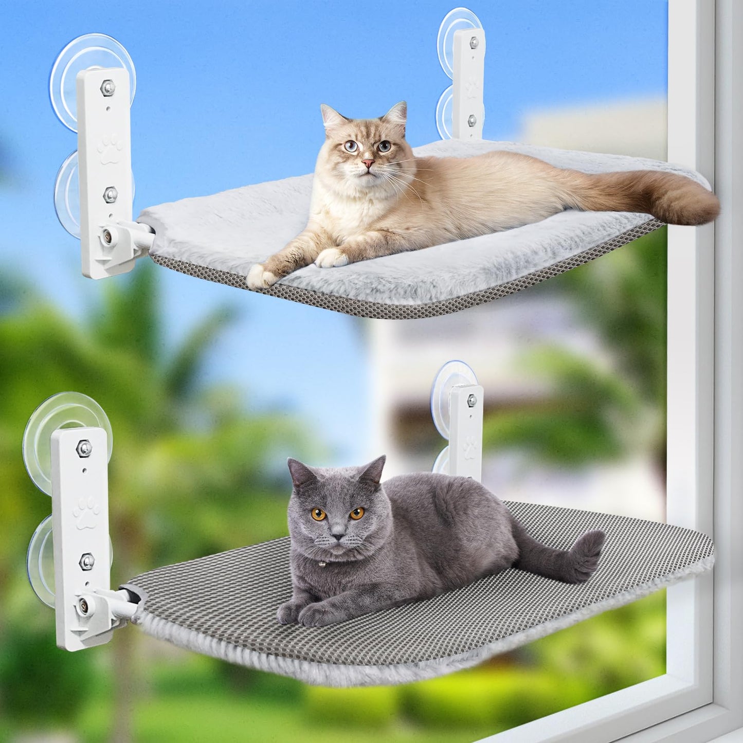 Sunhoo 2PCS Cat Window Hammock Perch Cordless Kitty Seat Bed Foldable Windowsill Ledge Shelves Sturdy Suction Cup for Large Indoor Cats Kitten 20.5 * 11.8in Hold 55lbs Lit Pour Chat (Light Gray, M)