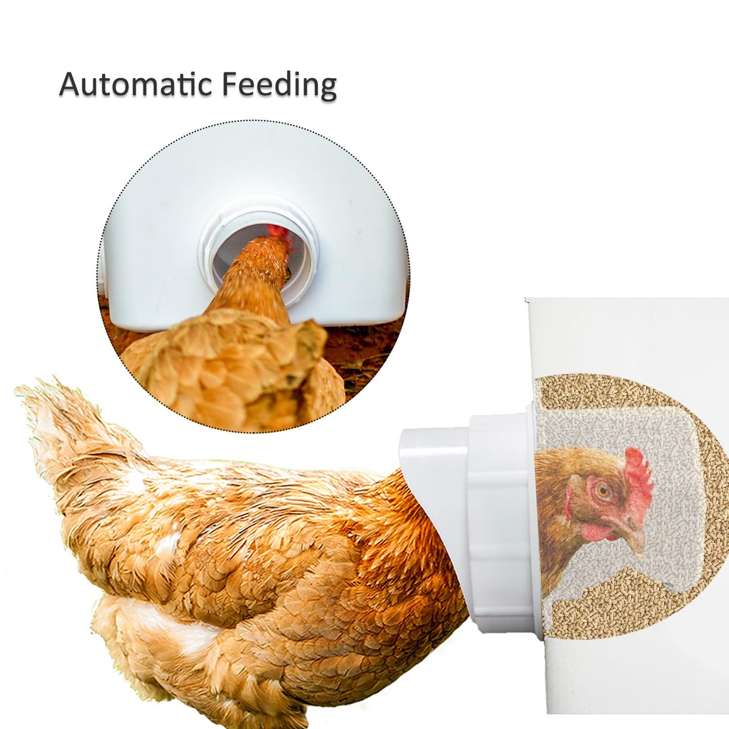 Automatic Chicken Feeder and Waterer Set Hanging Chicken Feeder No Waste Poultry Feeder 3 Gallon Water Feeder