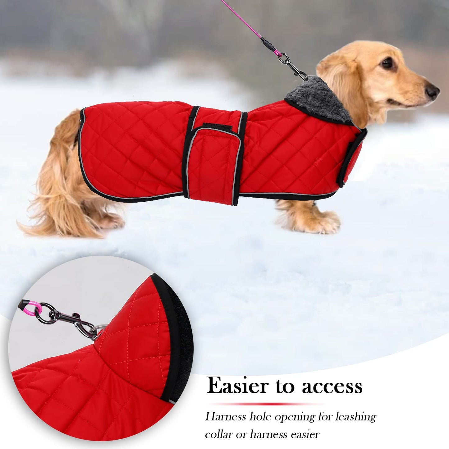 Warm Thermal Quilted Dachshund Coat, Dog Winter Coat with Warm Fleece Lining, Outdoor Dog Apparel with Adjustable Bands for Medium, Large Dog-Red-M