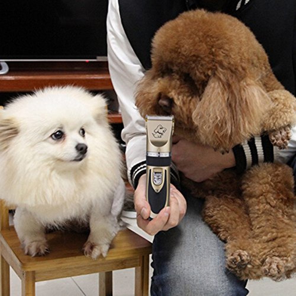 BaoRun Pet Dog Grooming Clippers Professional Rechargeable Cordless Hair Clippers with Comb Low Noise for Small Medium Large Dogs Cats