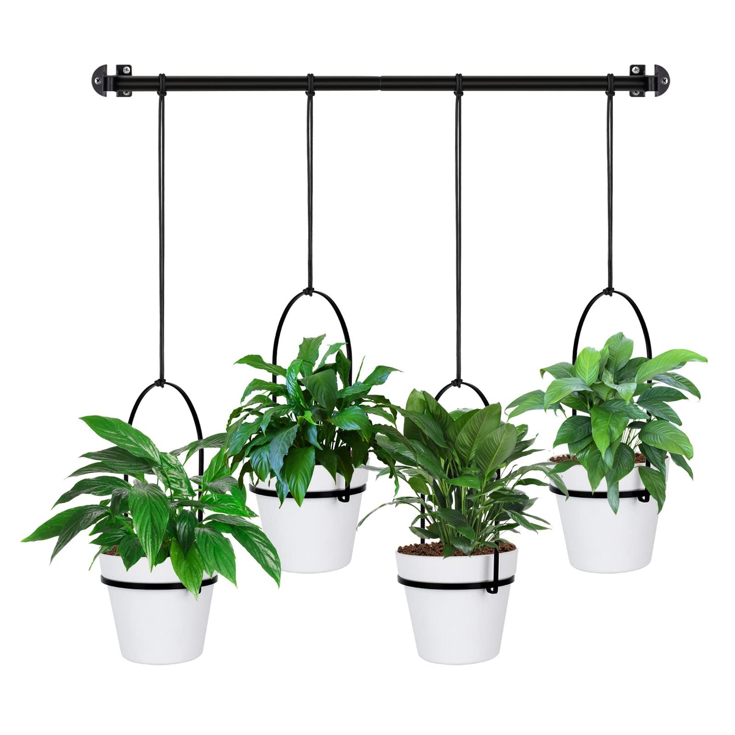 Hanging Planter Hanging Plant Holder, 6 Inch 4 Indoor Plant Pots, Wall/Window Plant Hanger Indoor Herb Garden