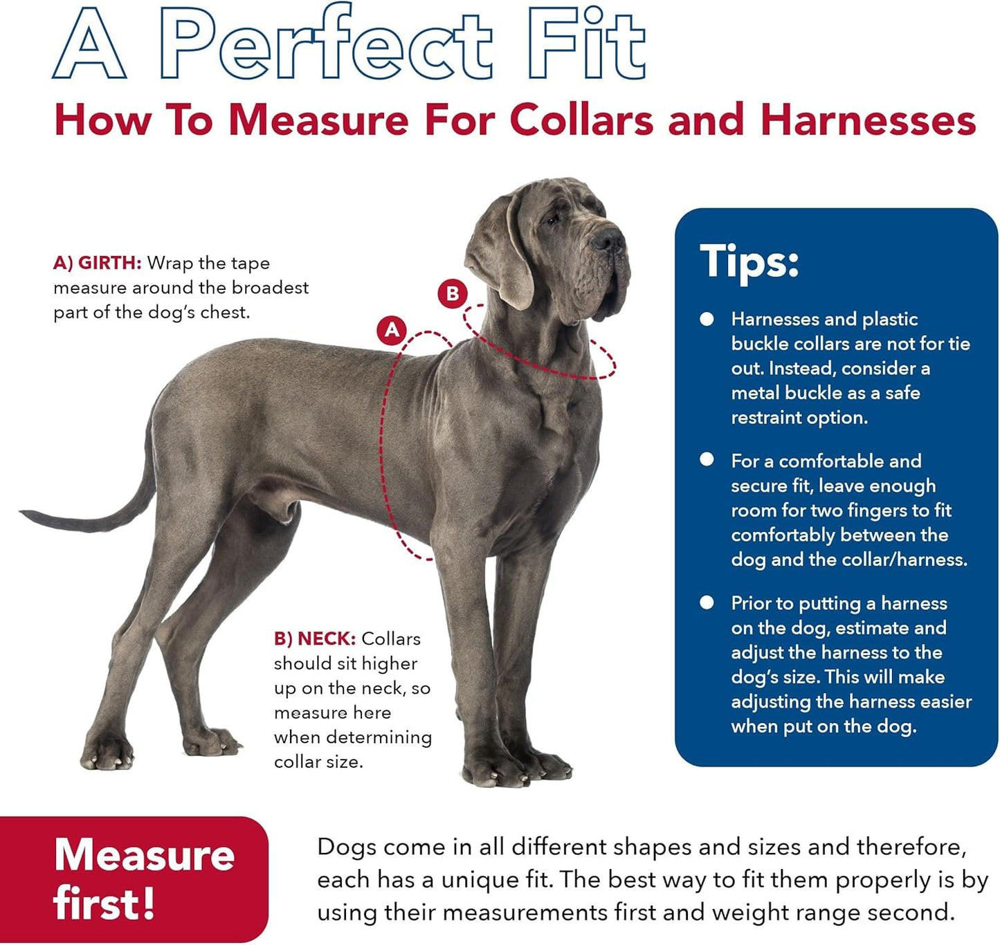 Coastal - K-9 Explorer - Reflective Adjustable Padded Dog Harness, Rosebud, 5/8" x 16"-24"