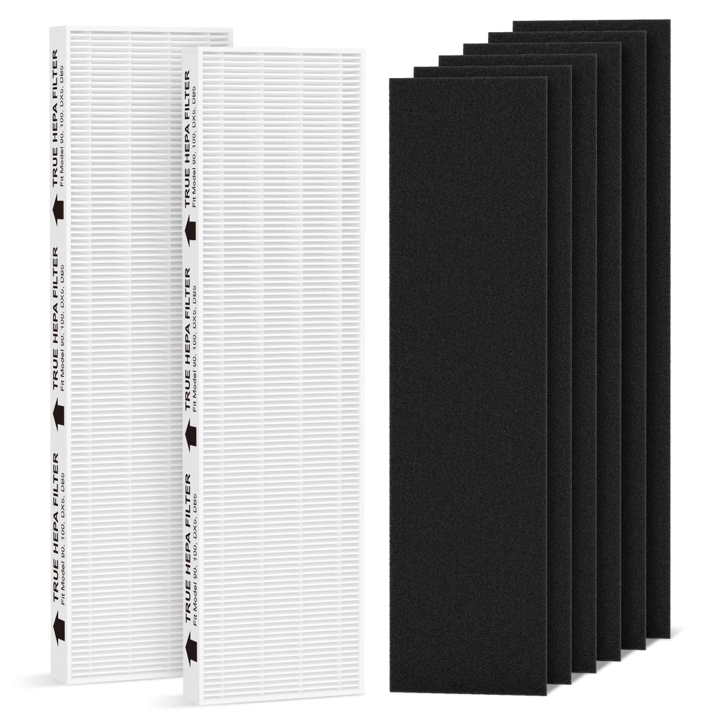 SAKEGDY HEPA Replacement Filter, Compatible with Fellows AeraMax 90 100 DB5 DX5 Purifier, Part# 9287001 9324001 40101701. Package Include 2 HEPA Filter and 6 Activated Carbon Pre-Filters.