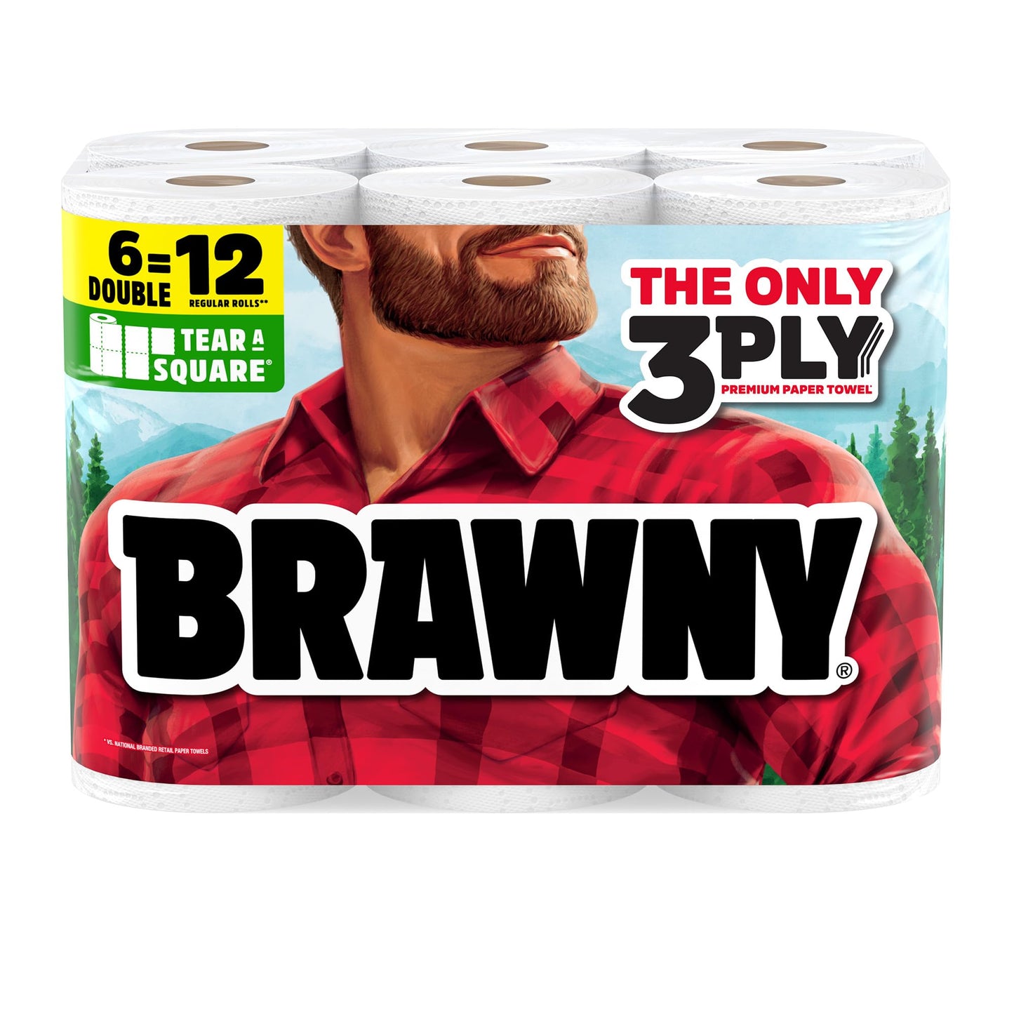 BRAWNY® Tear-A-Square® Paper Towels, 6 Double Rolls