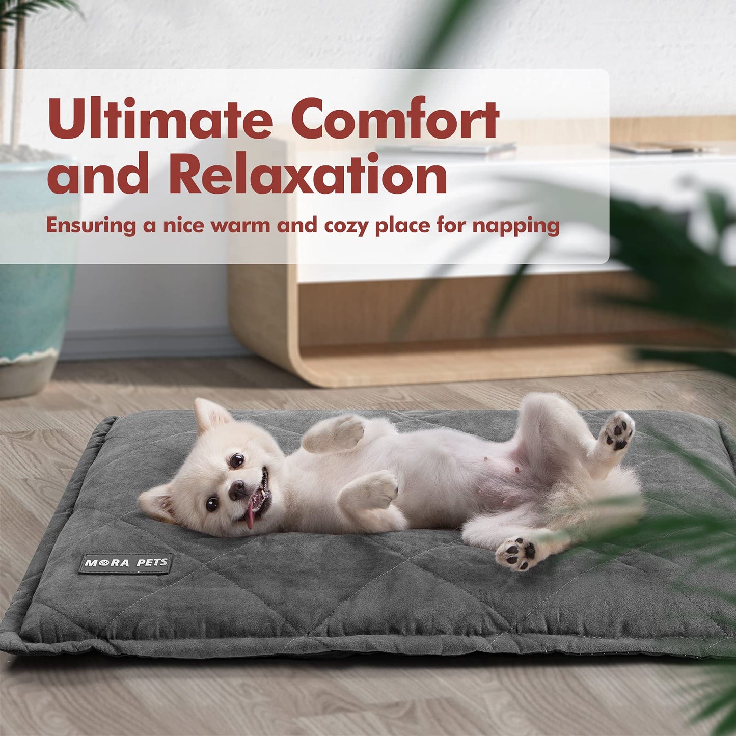 Mora Pets Self Heating Cat Bed Self Warming Cat Pad Ultra Warm Thermal Cat Mat 24 x 18 Inches Removable Cover Outdoor Indoor for Cats and Small Medium Dogs Machine Washable