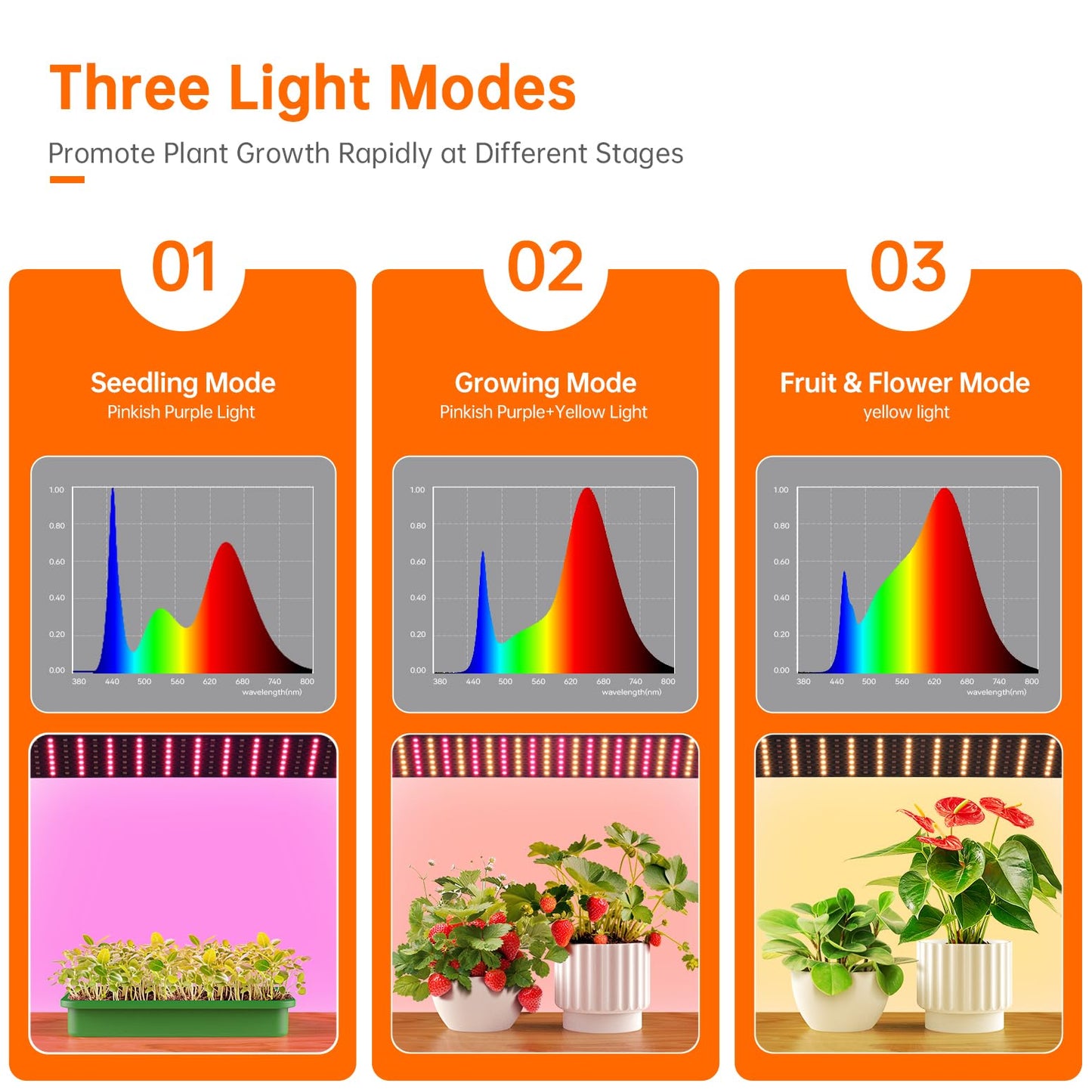 Bstrip Mini Indoor Greenhouse with Grow Lights, 27.2" L X 19.9" W X 27.2" H Desktop Small Greenhouse with Zippered Door and PVC Cover for Seed Starting, 1.6FT Plant Light for Indoor Plants with Timer
