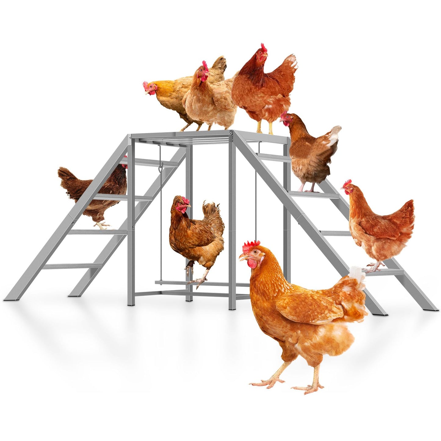 Chicken Coop Perches with Swing, Roosting Bars, Chicken Run Accessories Toy, Wooden Ladder for Pet's Healthy & Happy, Sturdy and Easy to Clean, Suitable for Backyard Farm