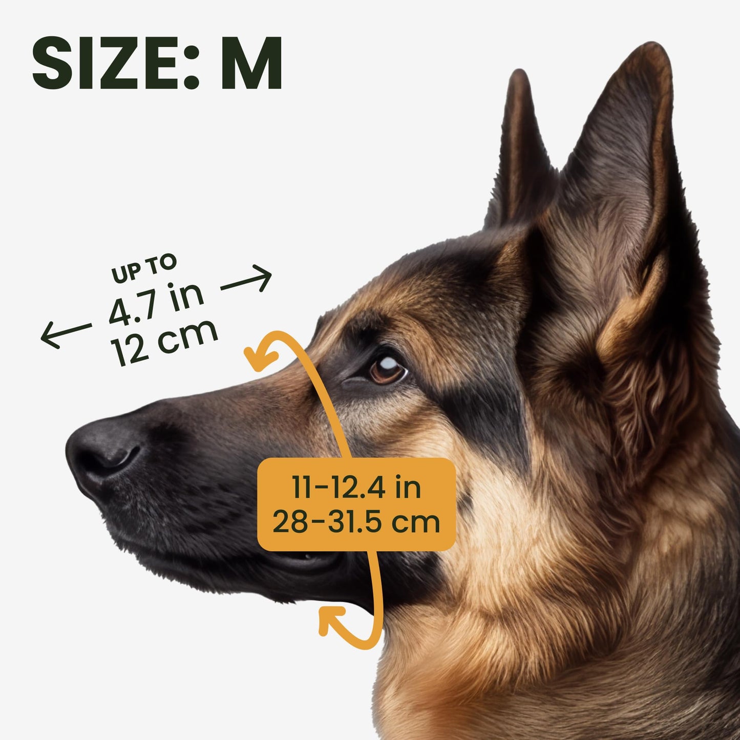 BRONZEDOG Wire Dog Muzzle German Shepherd for Medium Large Dogs Adjustable Durable Metal Basket for Biting Chewing Barking (M)