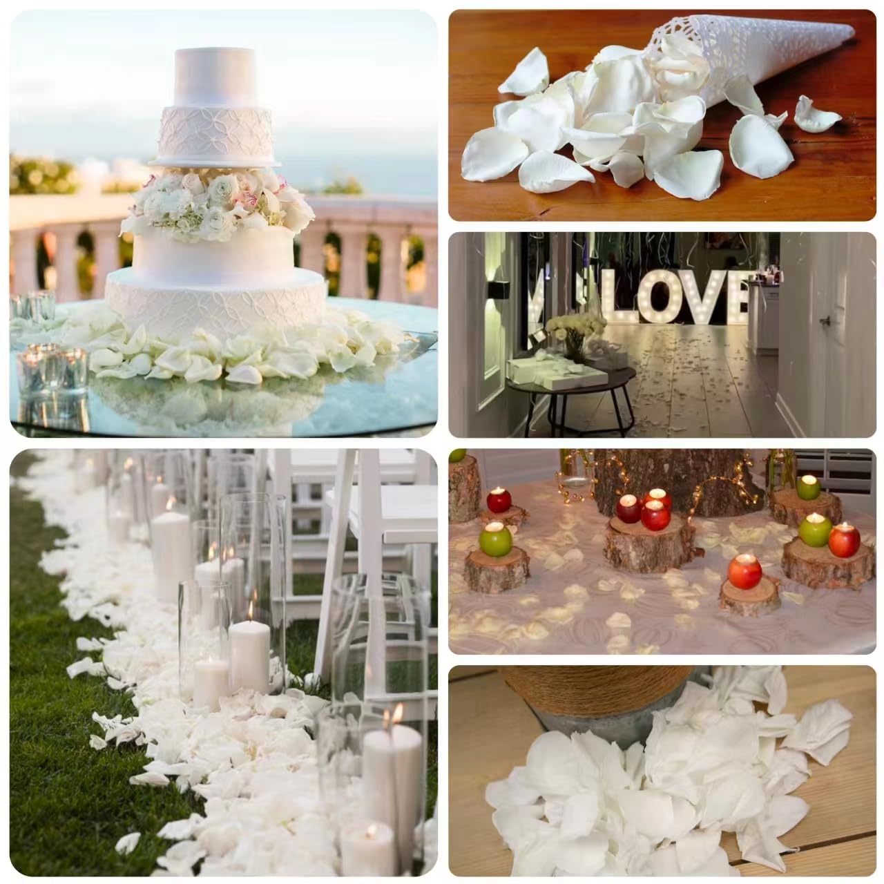 300 PCS Dried White Rose Flower Petals, Real Freeze Ivory Rose Petals for Decor, Wedding, Romantic Night, Proposal Venue, Party Confetti Bridal Shower (2.8oz)