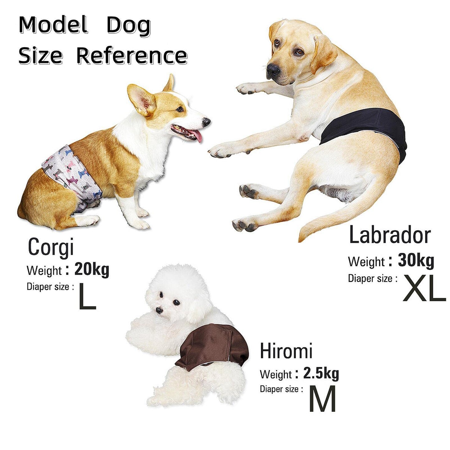 Qiny Washable Male Dog Diapers 6 Pack Reusable Male Dog Belly Band Multicolour M Waist 13.4 x17.3 Inch