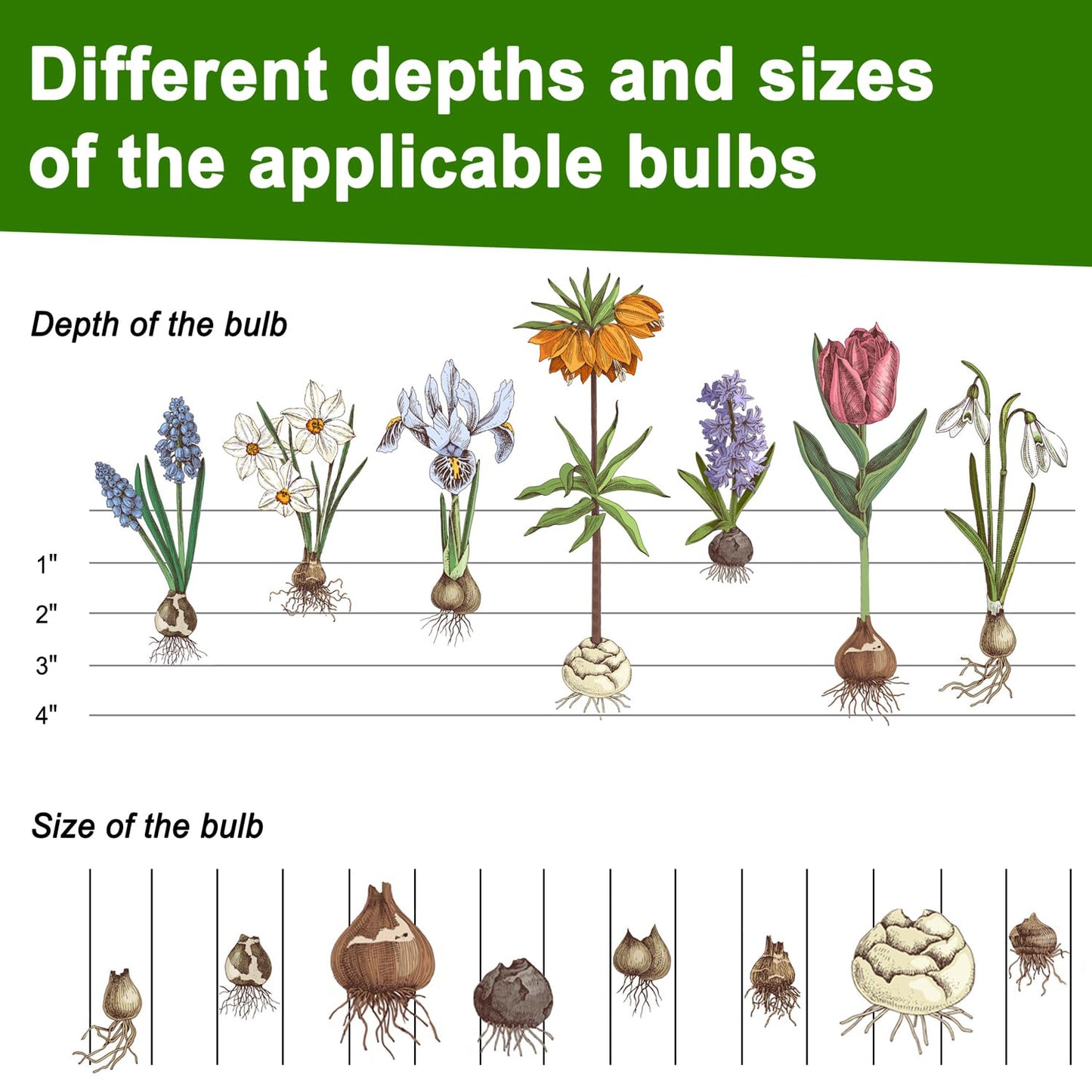 Aldorff Bulb Planter Tool, Sod Plugger with Long Handle Serrated Base, 5-in-1 Lawn Plug Garden Tool for Transplanting, Digging, Grass Plug, Soil Sampler, Planting for Tulips, Iris, Daffodils