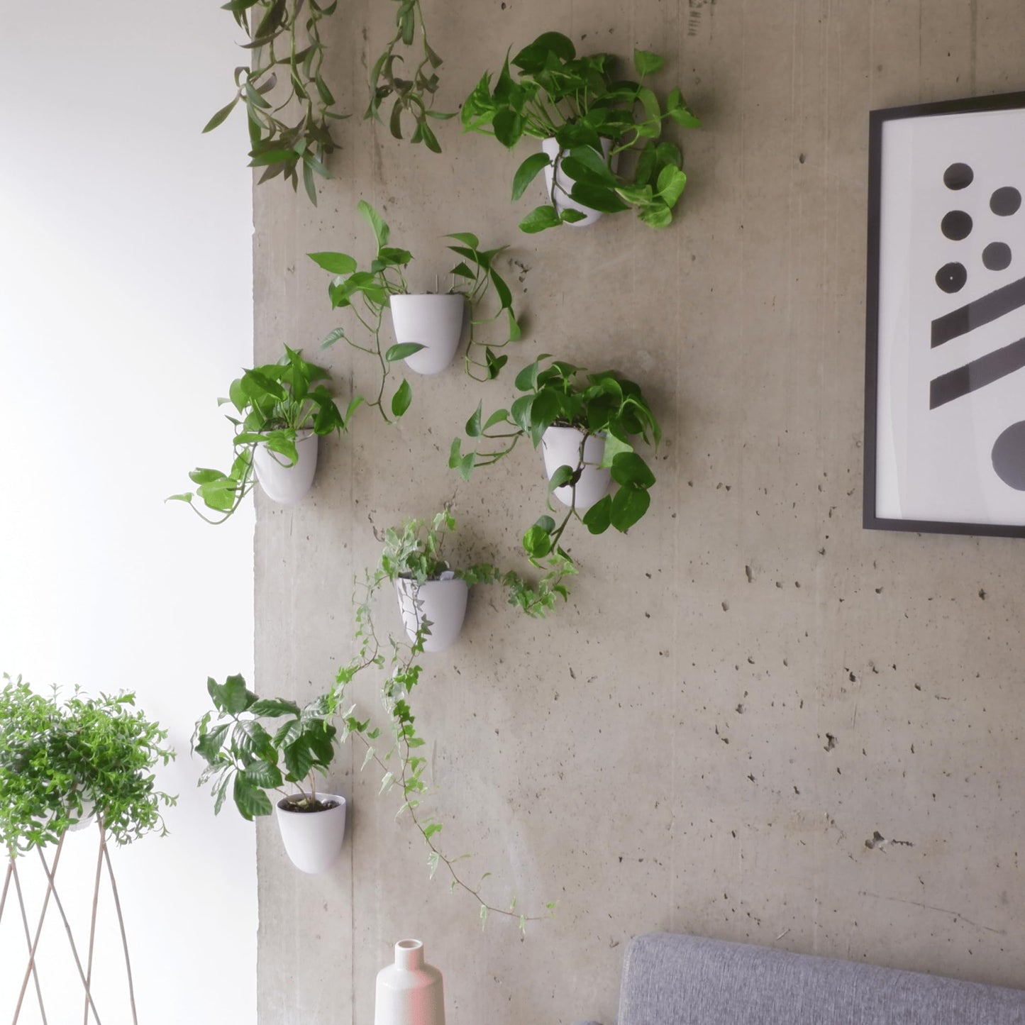 PlantPod Luxe - Self-Watering Wall Planters (Set of 6) - Easy to Water and Install - Lightweight - Design Your Own Vertical Garden - Wall Planters for Indoor Plants
