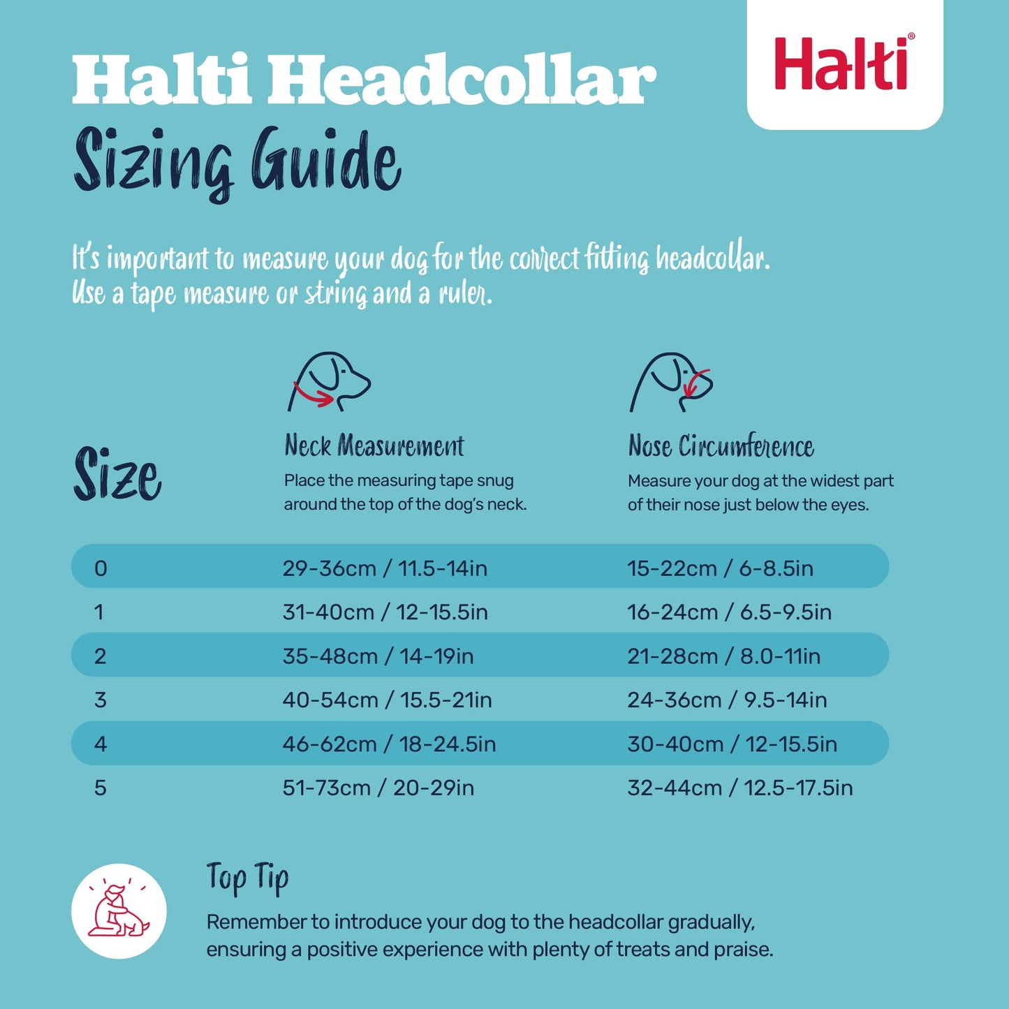 HALTI Headcollar - to Stop Your Dog Pulling on The Leash. Adjustable, Reflective and Lightweight, with Padded Nose Band. Dog Training Anti-Pull Collar for Large Dogs (Size 5, Black)