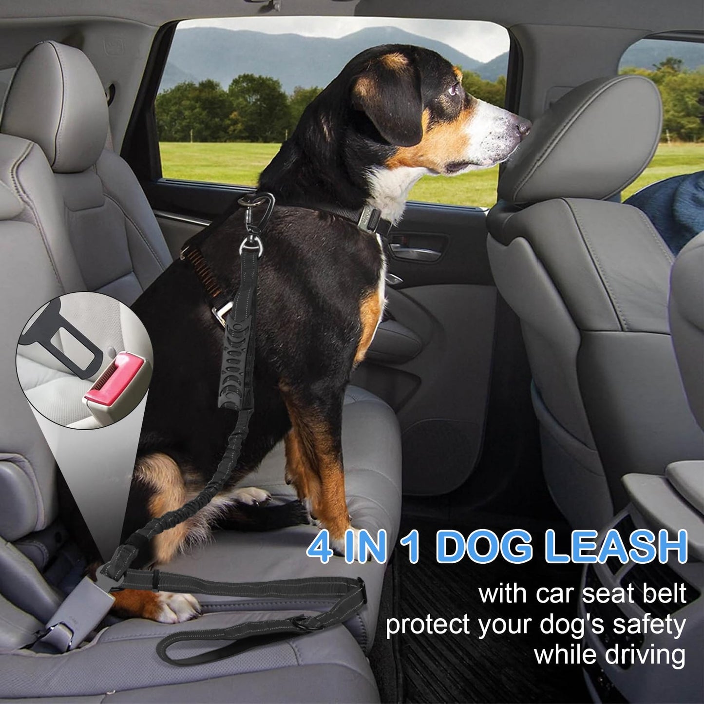 Chioratree Heavy Duty Dog Leash for Medium Large Dogs 2 Pack, Shock Absorbing Bungee Tactical Dog Leash, 4-6FT Strong No Pull Lead with 2 Padded Handle,Car Seatbelt,Light Reflective Rope, Black Purple