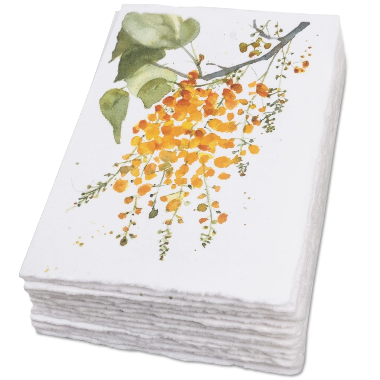 Wanderings Handmade Deckle Edge Blank Greeting Cards & Envelopes with Flower Art - Thick 300 GSM paper– 20 Cards (5 Each of 4 Varieties) for Invitations, Thank You, Get Well and Birthday Cards –5x7"