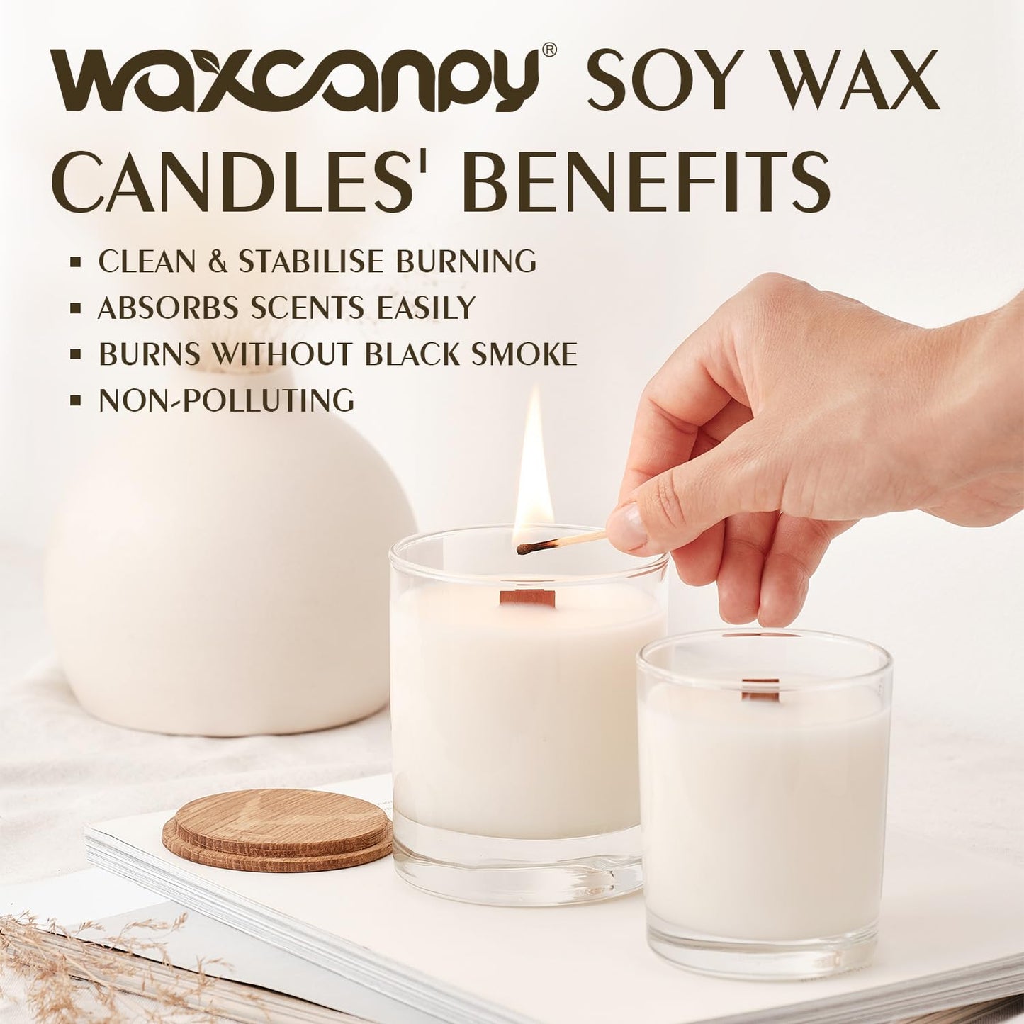 Soy Wax Flakes, Waxcanpy Pure & Natural Candle Wax, Organic Soy Wax 10 lb / 4.54 kg, Premium Candle Wax for Candle Making, No Additives, Harmless & ECO-Friendly, Cire de soja pour Bougie