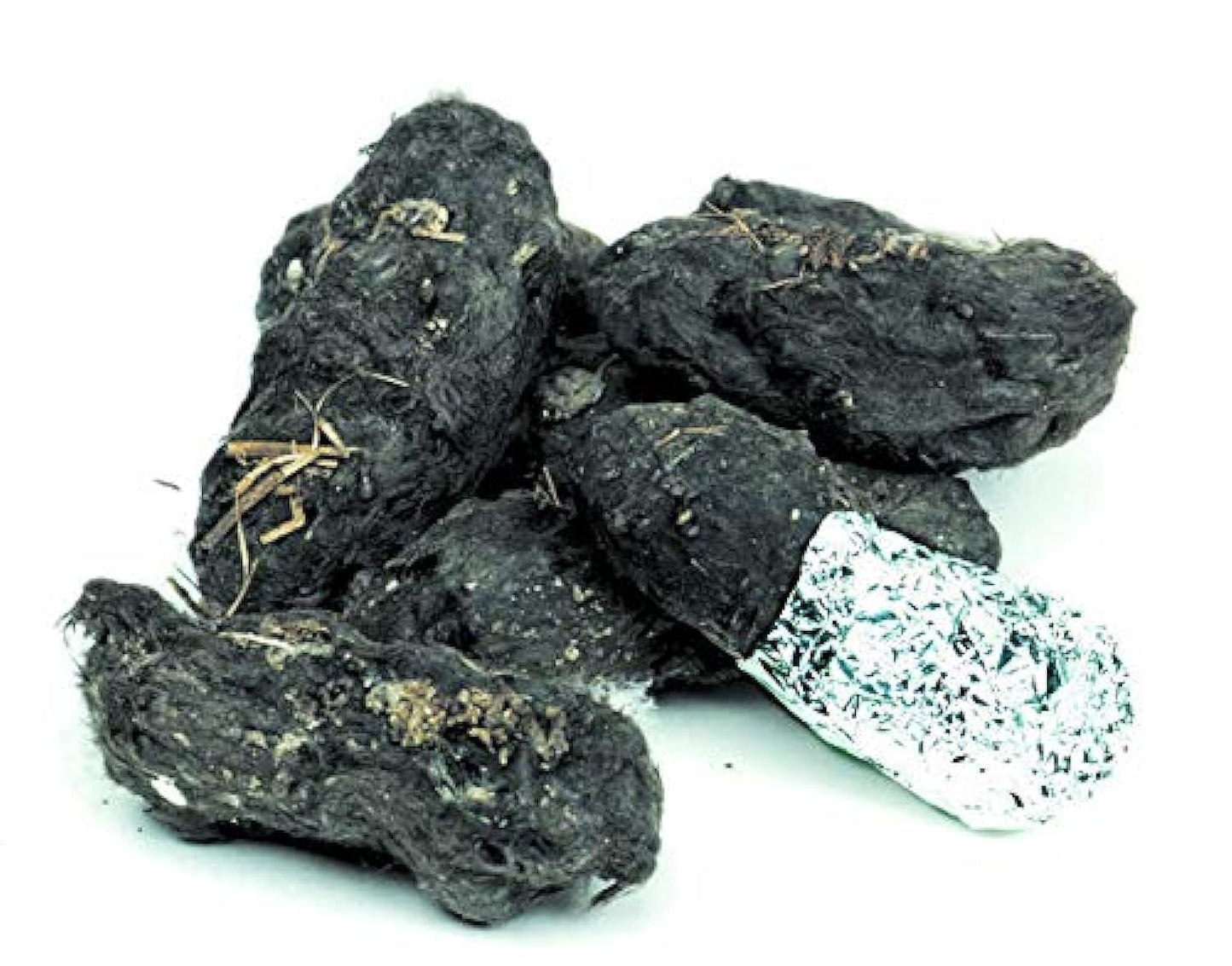 Pellets Barn Owl Pellet, Large (Pack of 6)