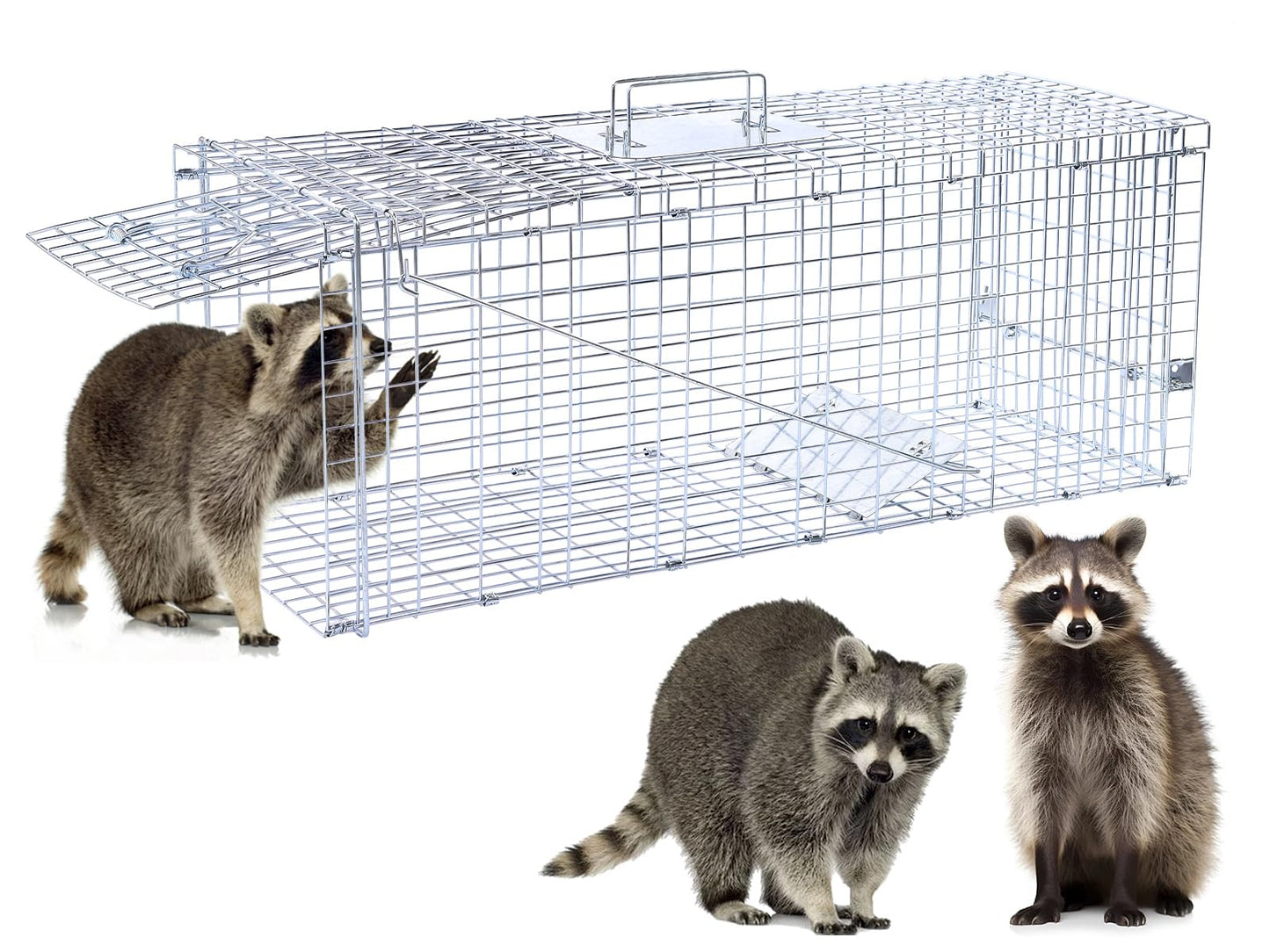32" Live Animal Trap,Humane Live Animal cage Trap for Squirrels,Small Stray Cats,Rabbits