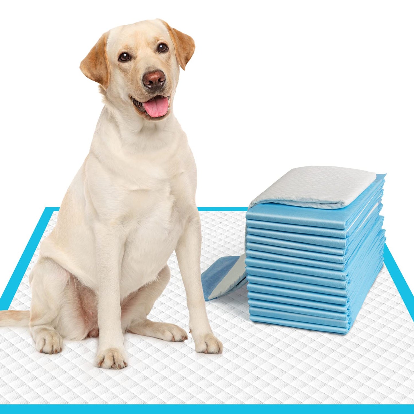 IMMCUTE Large Dog Pee Pads 28"x30"-50 Count | Large Puppy Pee Training Pads Super Absorbent & Leak-Proof | Disposable Pet Piddle and Potty Pads for Puppies | Dogs | Doggie