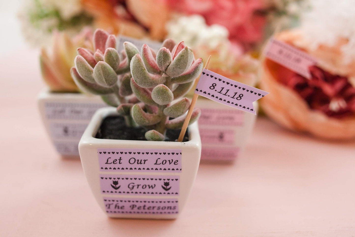 Brother PT-H200BP P-Touch Labeller, 4.09 X 7.8 X 11.26 inch