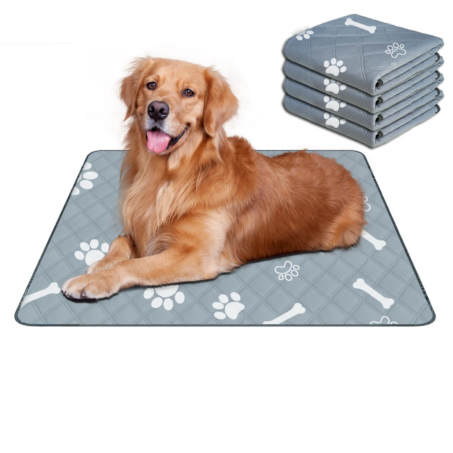 RIOUSSI Washable Pee Pads for Dogs, Reusable, Absorbent, Leakproof, Non Slip Pet Puppy Pads for Potty Training. Graypaws, 24x36 Inch(4pack)