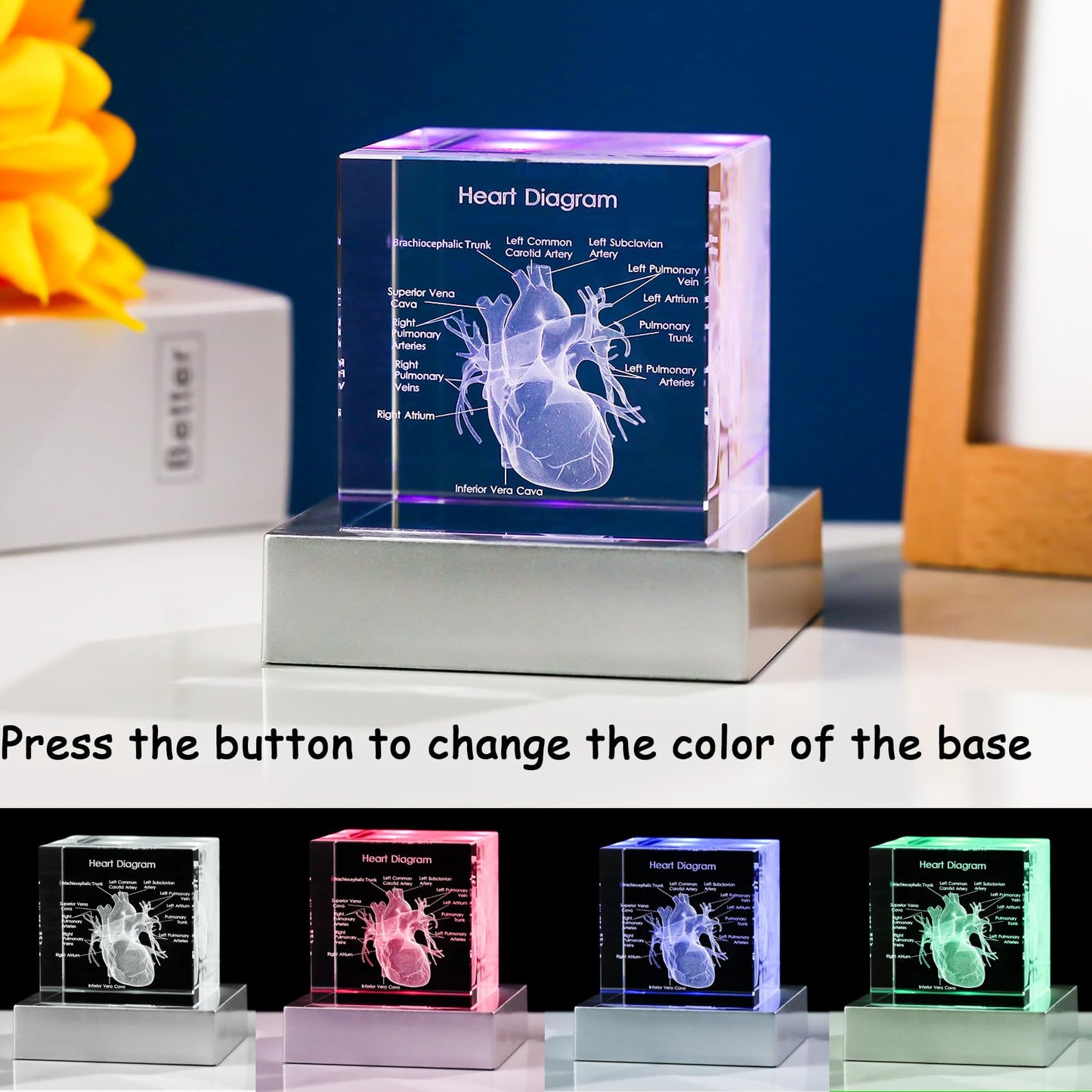 Movdyka 3D Human Heart Model Doctor Gifts for Men 3D Laser Etched Crystal Anatomical Heart Figurine Glass Paperweight Science Biology Medial Surgeon Gifts with Colorful LED Base
