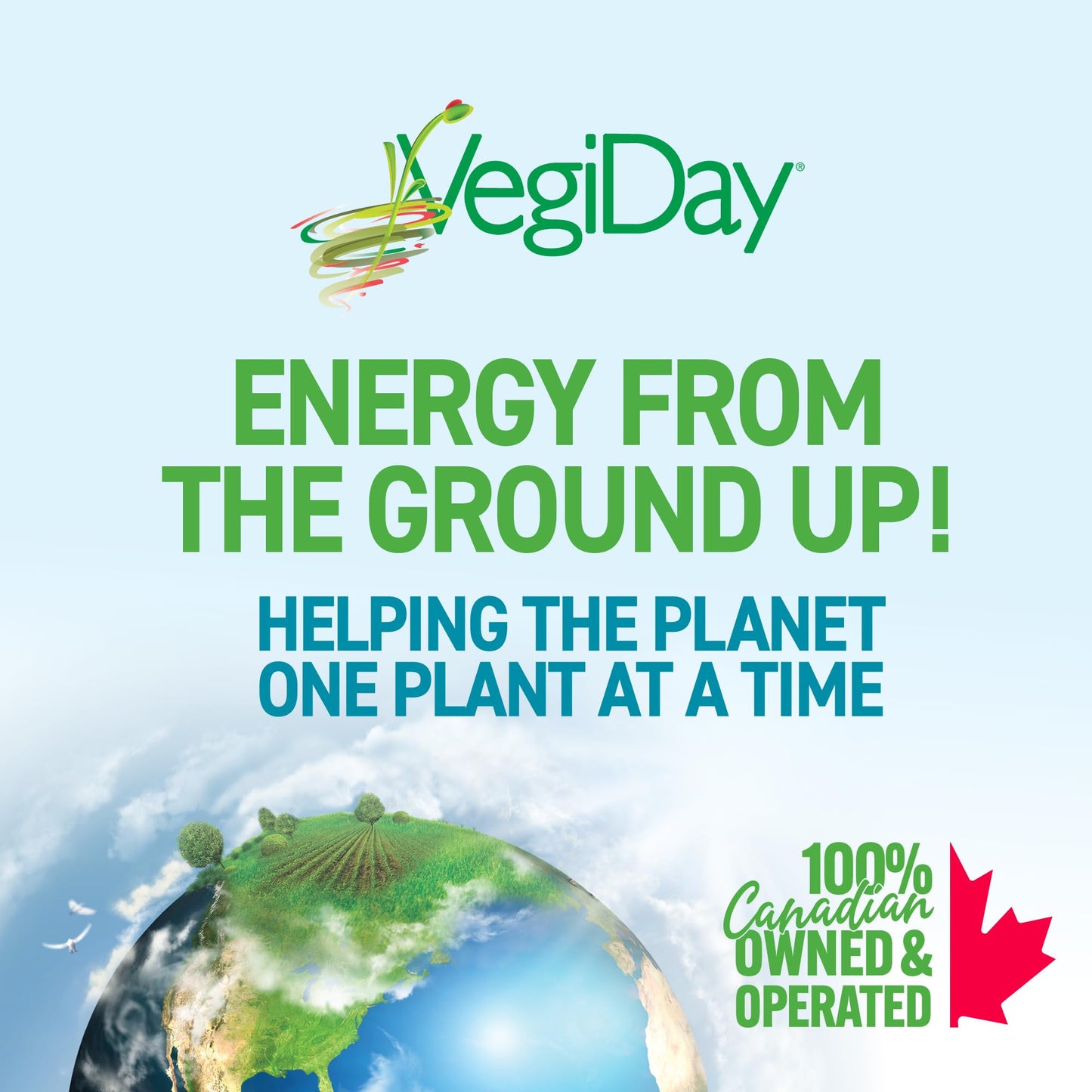 VegiDay Raw Organic Plant Based Protein 20g, French Vanilla, 1110g with Pea, Pumpkin, Chia, Quinoa, Spirulina & Chlorella
